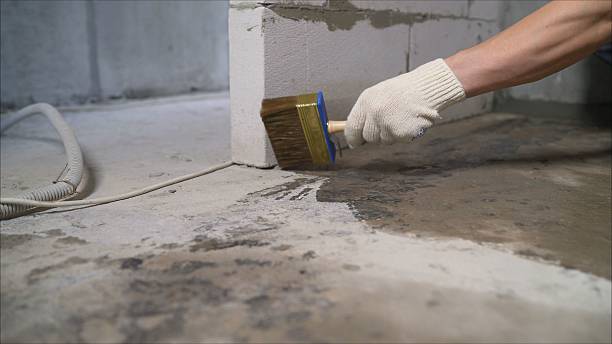 SJ Waterproofing Pros Interior Drainage System coverage map for Jackson, MN and surrounding area